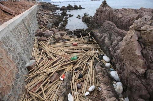 白竹形象最新爆料图片,惊艳亮相，时尚魅力再升级